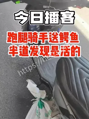 跑腿骑手