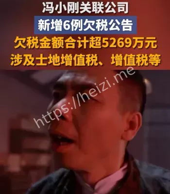 冯小刚欠税公告